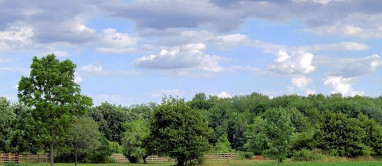 countryside