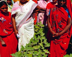 Jyoti-Devi