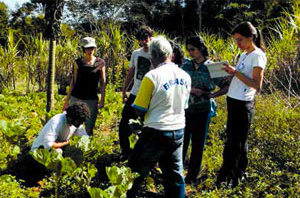 Rede Raízes da Mata: Strengthening links between producers and consumers