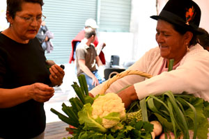 Local food systems: Tzimbuto and Canasta Utopia