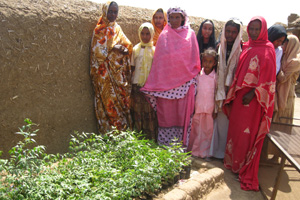 Home nurseries: Viable businesses with environmental awareness