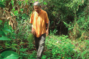 El señor Irene de la comunidad de El Onoto, ha contribuido con sus saberes y sus plantas al fortalecimiento del Centro de Resguardo de plantas medicinales de la Estación Cataurito de la Universidad Simón Rodríguez