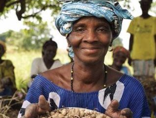 agroforestry-mali