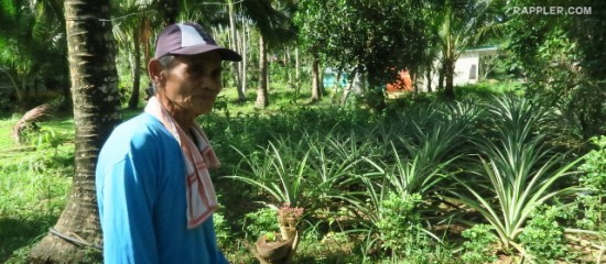 20160126-quezon-agroforestry-03_E30B0500C0FE45788FCF67634286CEDA
