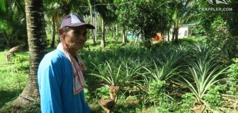 A ‘green revolution’ that may save Filipino coconut farmers