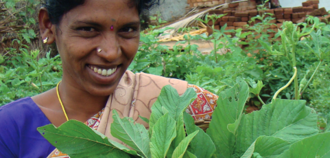 Building, defending and strengthening agroecology