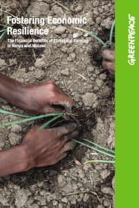 REPORT | Fostering Economic Resilience. The Financial Benefits of Ecological Farming in Kenya and Malawi