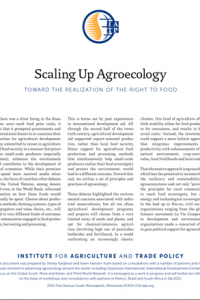 Scaling up agroecology: A tool for policy