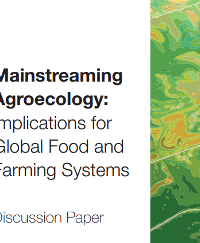 Mainstreaming Agroecology: Implications for Global Food and Farming Systems