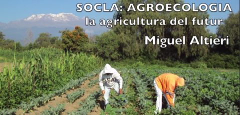 La AGRICULTURA del FUTURO – Miguel Altieri