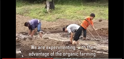 Sustainable Way of Living – Homeschooling the Youth