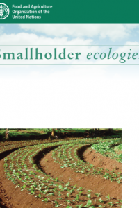 Smallholder ecologies