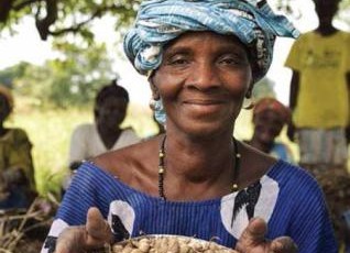 Agroforestry to Improve Farm Productivity in Mali