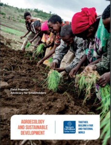 Agroecology and Sustainable Development