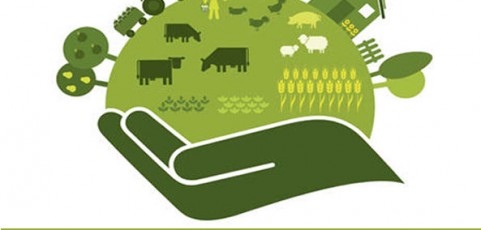Seeking convergence on agroecology- a conference impression