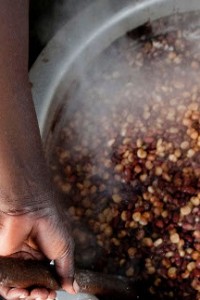 Democracy and diversity can mend broken food systems, final diagnosis from UN right to food expert