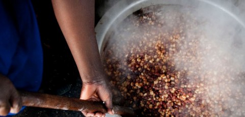 Democracy and diversity can mend broken food systems, final diagnosis from UN right to food expert
