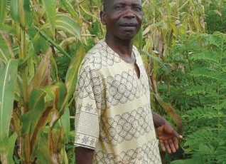 Agroforesterie pour la sécurité alimentaire au Malawi