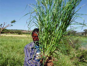 SCI: Planting with space
