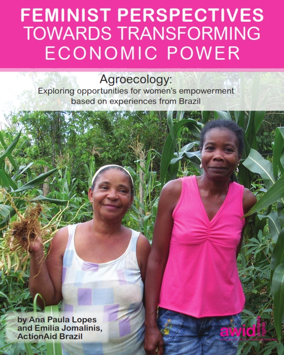 Agroecology: Exploring opportunities for women’s empowerment based on experiences from Brazil