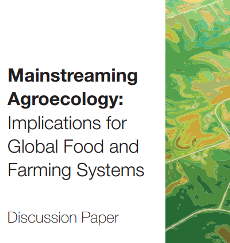Mainstreaming Agroecology: Implications for Global Food and Farming Systems