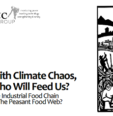 With Climate Chaos, Who Will Feed Us? The Industrial Food Chain or the Peasant Food Web?