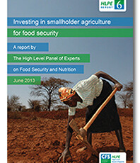Food security and Nutrition: HLPE 2013 Reports