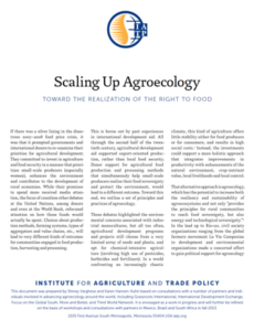Scaling up agroecology: A tool for policy