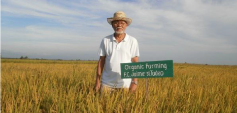 Organic farming at the Center stage in South East Asia