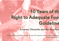 10 Years of the Right To Adequate Food Guidelines