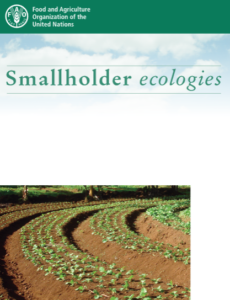Smallholder ecologies