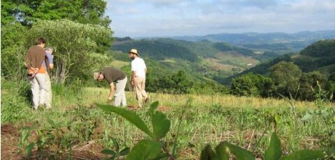 The process of Agroecology Transition – A case study from Southern Brazil