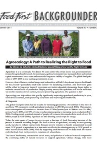 Agroecology: A Path to Realizing the Right to Food