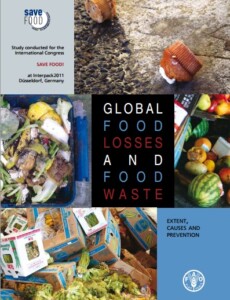 Global Food Losses and Food Waste