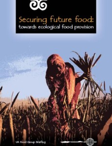 Securing future food: Towards ecological food provision